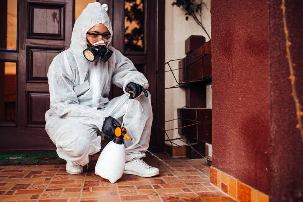 Reliable Bed Bug Control contractor in West York, PA by Nex Pest Control