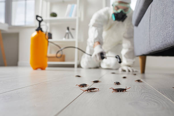 Trusted Cockroach Control service in West York, PA - Nex Pest Control