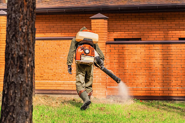 Trusted Bed Bug Control service in West York, PA - Nex Pest Control